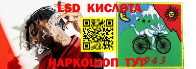 PSILOCYBIN Мариинск