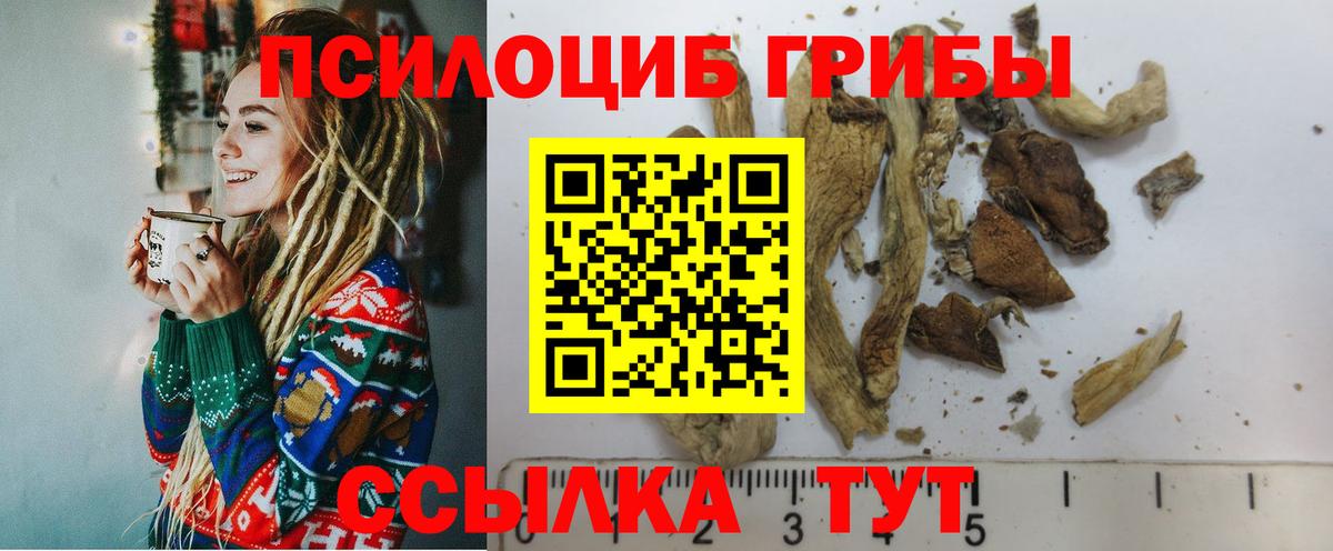 Галлюциногенные грибы мухоморы Юрга