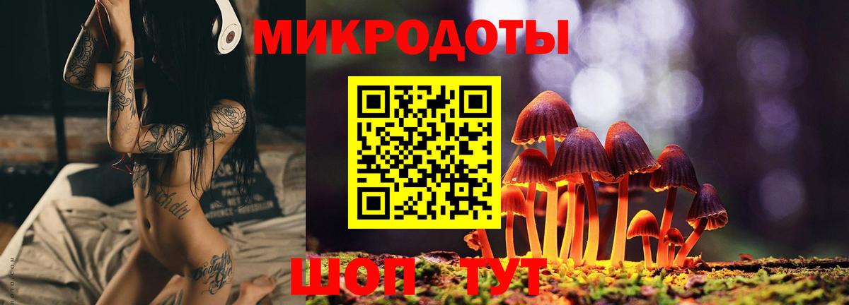 где можно купить   Вход с VPN  Юрга  Галлюциногенные грибы мухоморы 
